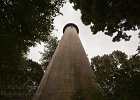 Grosse Point Lighthouse 4 : grosse point, illinois, lighthouse, northwestern college