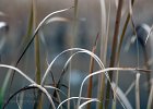 An Autumn Field : landscape, minnesota river valley, wildlife refuge